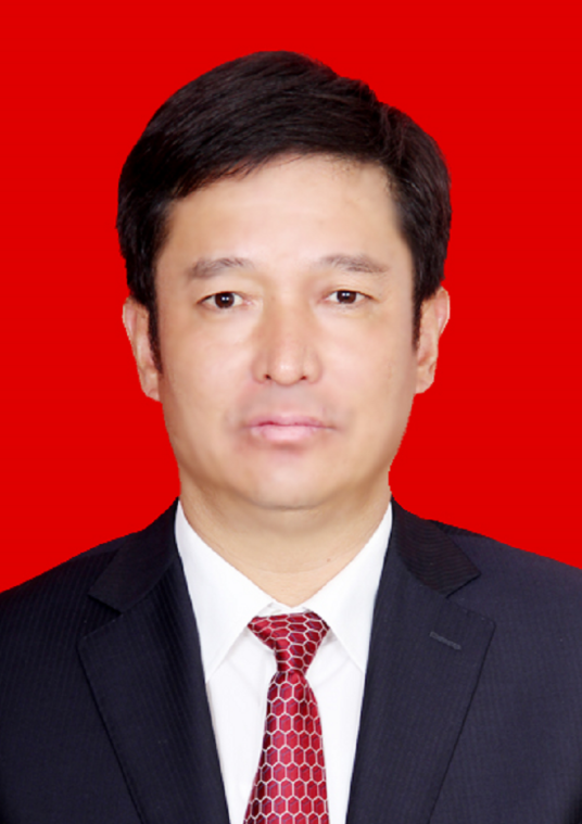 王书文（山西省长治市武乡县人民政府党组书记，县长）