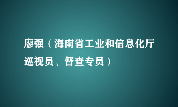 廖强（海南省工业和信息化厅巡视员、督查专员）