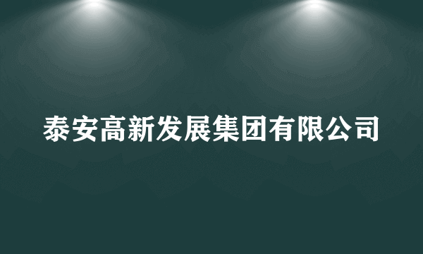 泰安高新发展集团有限公司