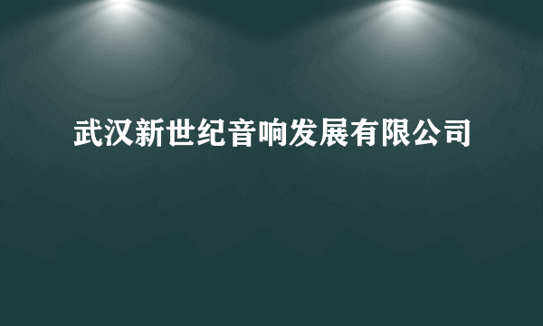 武汉新世纪音响发展有限公司