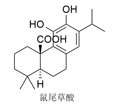 鼠尾草酸