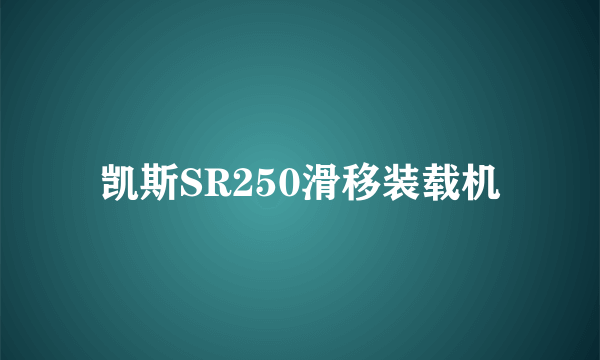 凯斯SR250滑移装载机