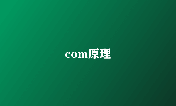 com原理