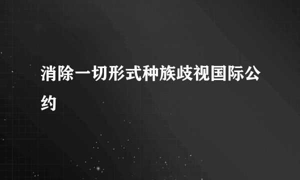 消除一切形式种族歧视国际公约