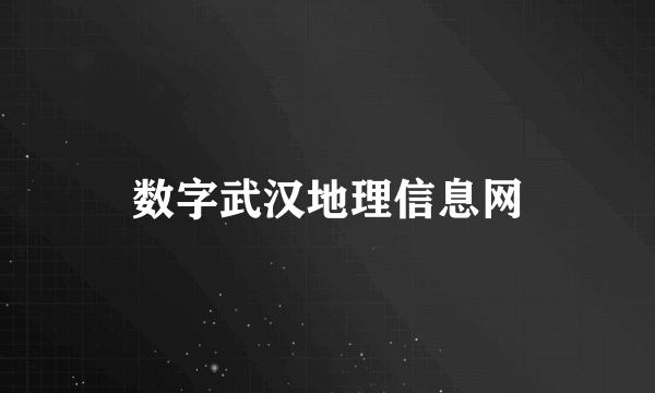 数字武汉地理信息网