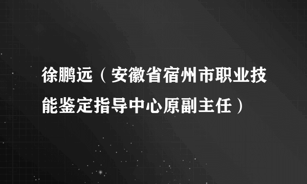 徐鹏远（安徽省宿州市职业技能鉴定指导中心原副主任）