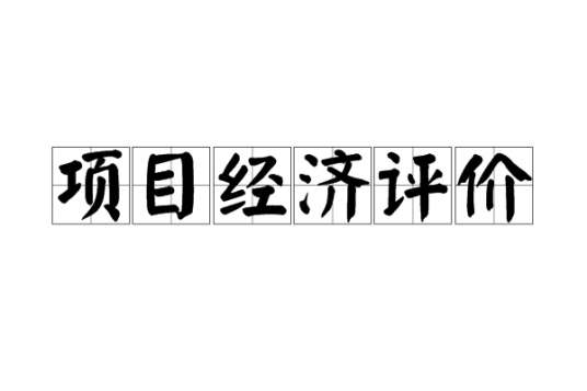 项目经济评价