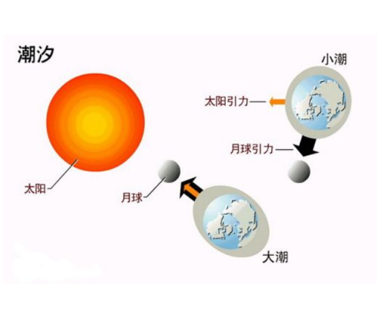 固体潮（物理现象）