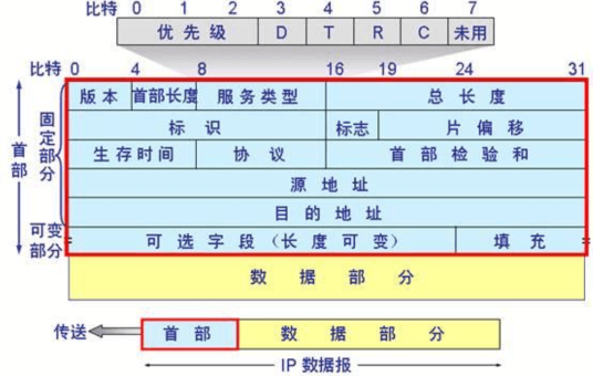 IP数据报