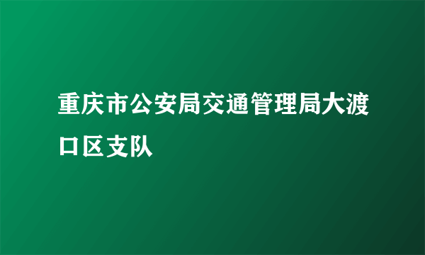 重庆市公安局交通管理局大渡口区支队