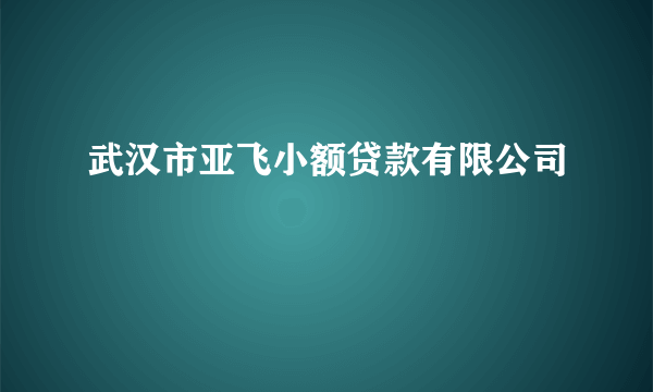 武汉市亚飞小额贷款有限公司