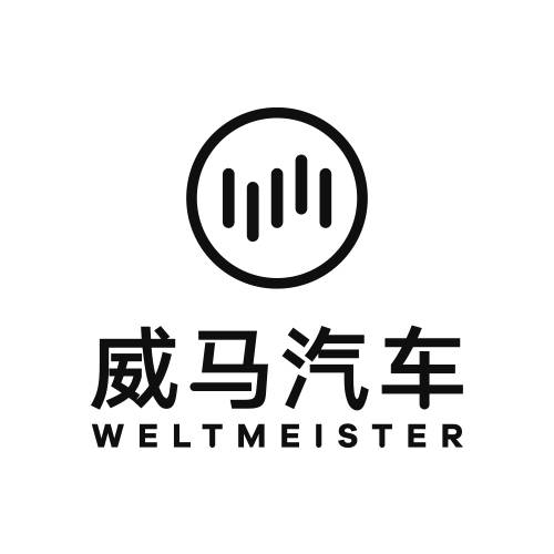 威马汽车科技集团有限公司