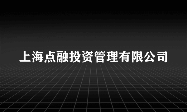 上海点融投资管理有限公司