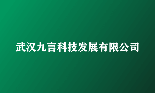 武汉九言科技发展有限公司