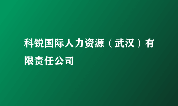 科锐国际人力资源（武汉）有限责任公司