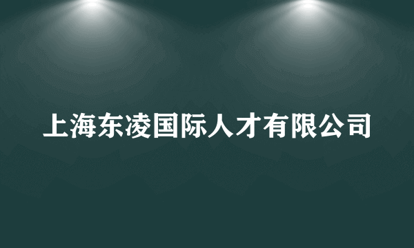 上海东凌国际人才有限公司