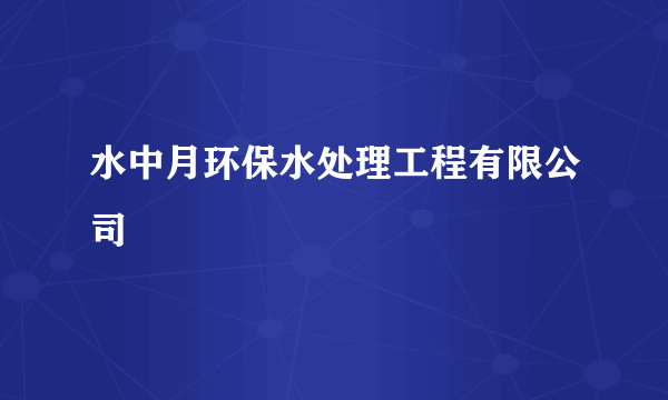 水中月环保水处理工程有限公司