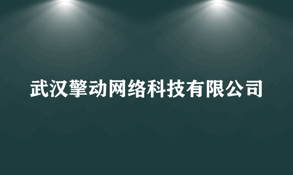 武汉擎动网络科技有限公司