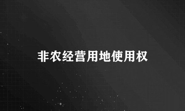 非农经营用地使用权