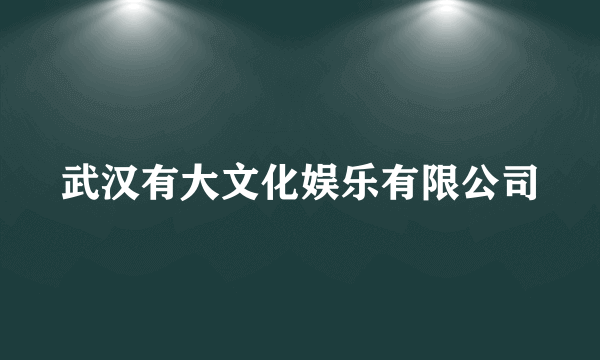 武汉有大文化娱乐有限公司