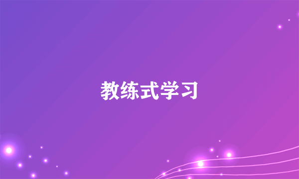 教练式学习