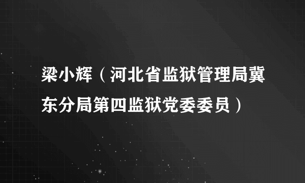 梁小辉（河北省监狱管理局冀东分局第四监狱党委委员）