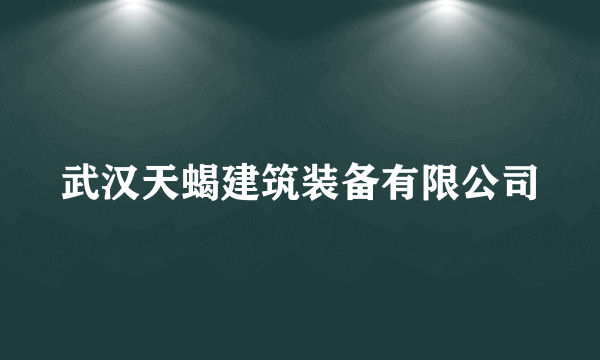 武汉天蝎建筑装备有限公司