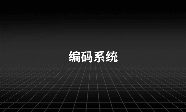 编码系统