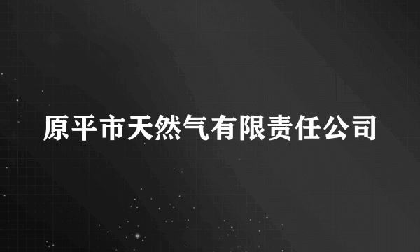 原平市天然气有限责任公司