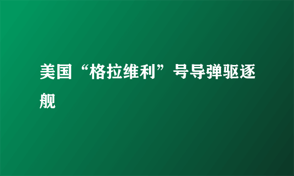 美国“格拉维利”号导弹驱逐舰