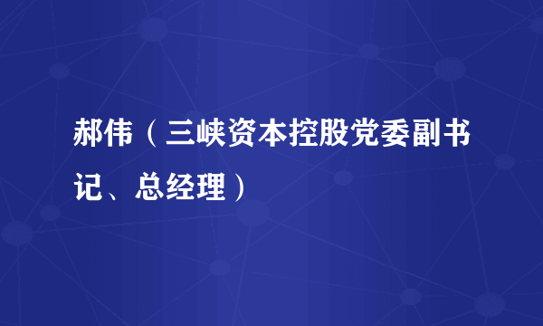 郝伟（三峡资本控股党委副书记、总经理）