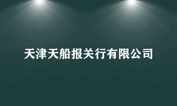 天津天船报关行有限公司