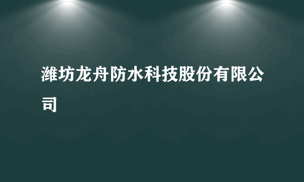 潍坊龙舟防水科技股份有限公司