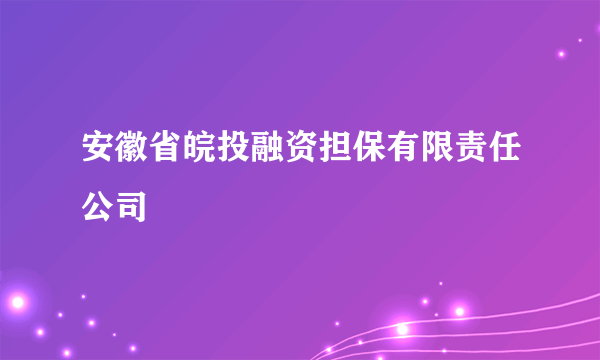 安徽省皖投融资担保有限责任公司