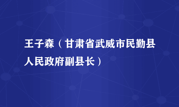 王子森（甘肃省武威市民勤县人民政府副县长）