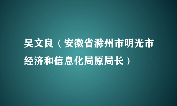 吴文良（安徽省滁州市明光市经济和信息化局原局长）