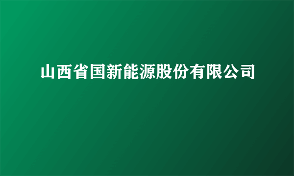 山西省国新能源股份有限公司