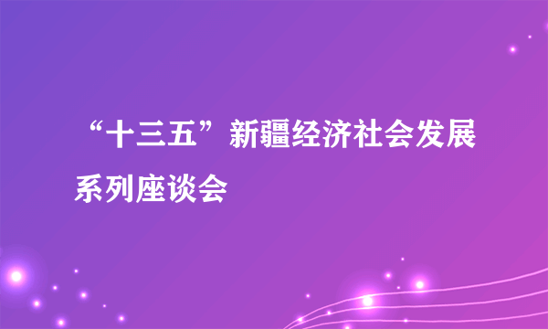 “十三五”新疆经济社会发展系列座谈会