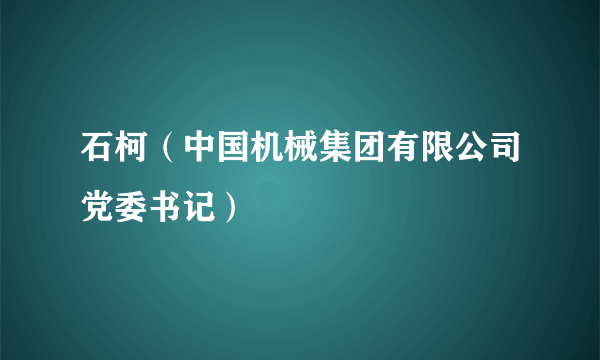 石柯（中国机械集团有限公司党委书记）