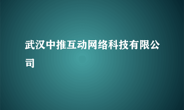 武汉中推互动网络科技有限公司