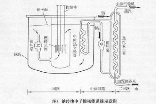 快中子