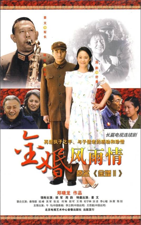 金婚风雨情（2010年胡军、周韵主演的电视剧）