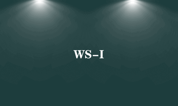 WS-I