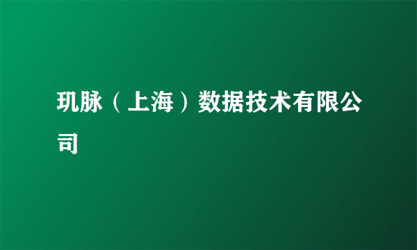 玑脉（上海）数据技术有限公司