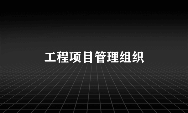 工程项目管理组织