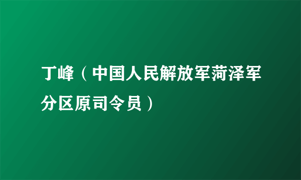 丁峰（中国人民解放军菏泽军分区原司令员）