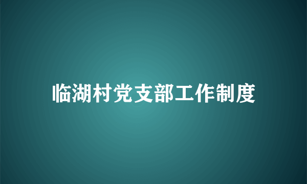 临湖村党支部工作制度