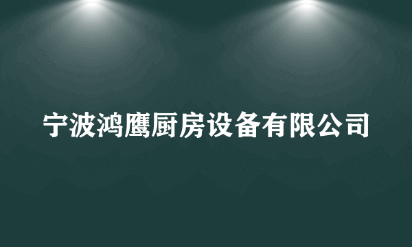 宁波鸿鹰厨房设备有限公司