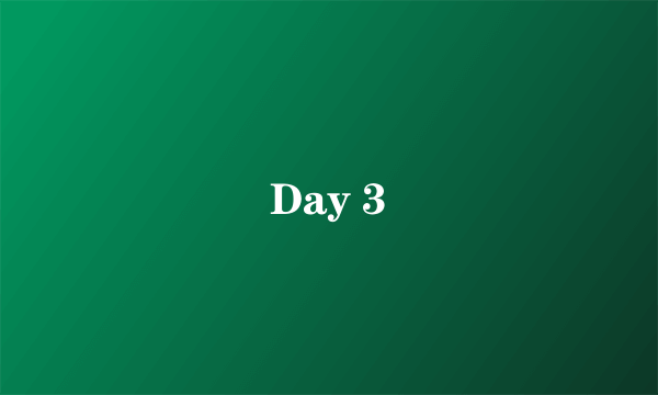 Day 3