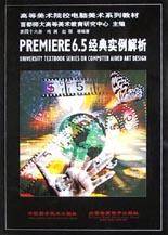 PREMIERE6.5经典实例解析